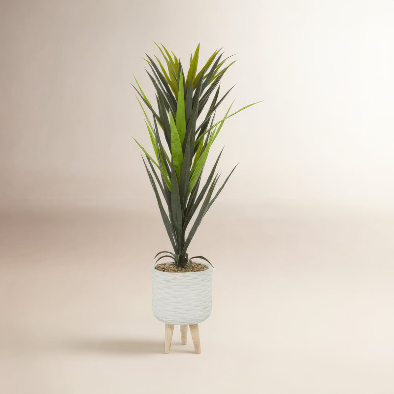 Plante grasse artificielle en pot, H 47 po x l 15 po x P 15 po