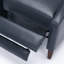 Fauteuil inclinable Biscoe-102625348