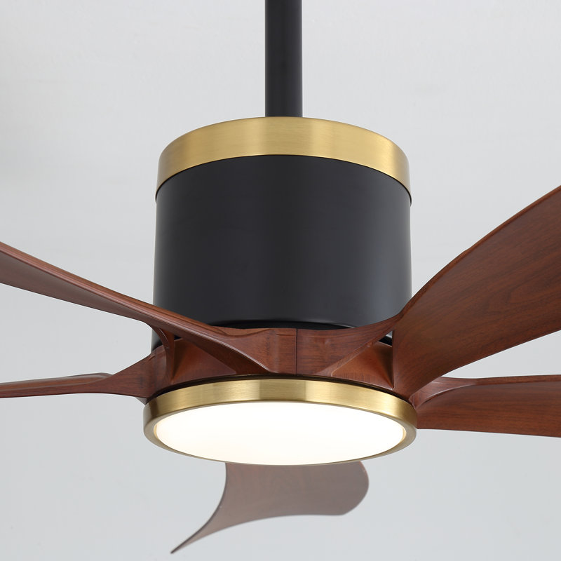 42'' Dimmable Ceiling Fan with Lights and Remote Control Reversible DC Motor 3CCT Timer , 21.5" H x 42" W x 42" D