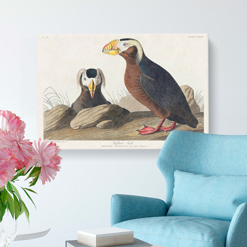 Tufted Puffin Bird by John Audubon - Wrapped Canvas Painting, 40cm H x 60cm W x 3cm D