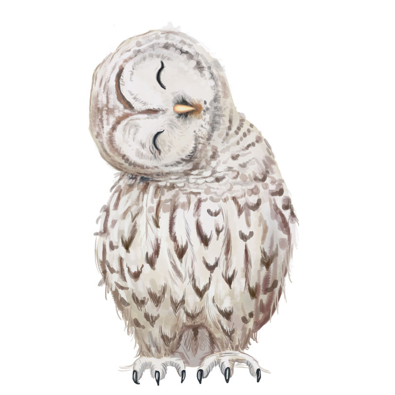 Owl II - Painting Print, 91 cm H x 61 cm W, Wrapped Canvas
