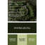 Légumes, fava, haricots, art mural en métal vert-1105133373