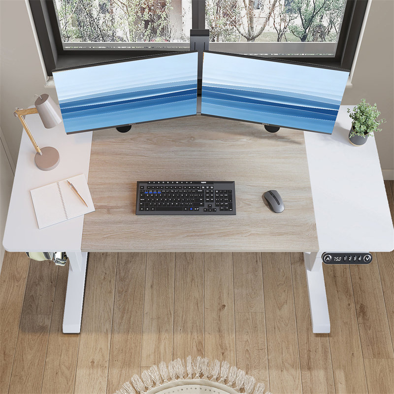 63"×30" Height Adjustable Electric Standing Desk Height Stand Up Computer Desk (Not Include Stools), White/Light Oak