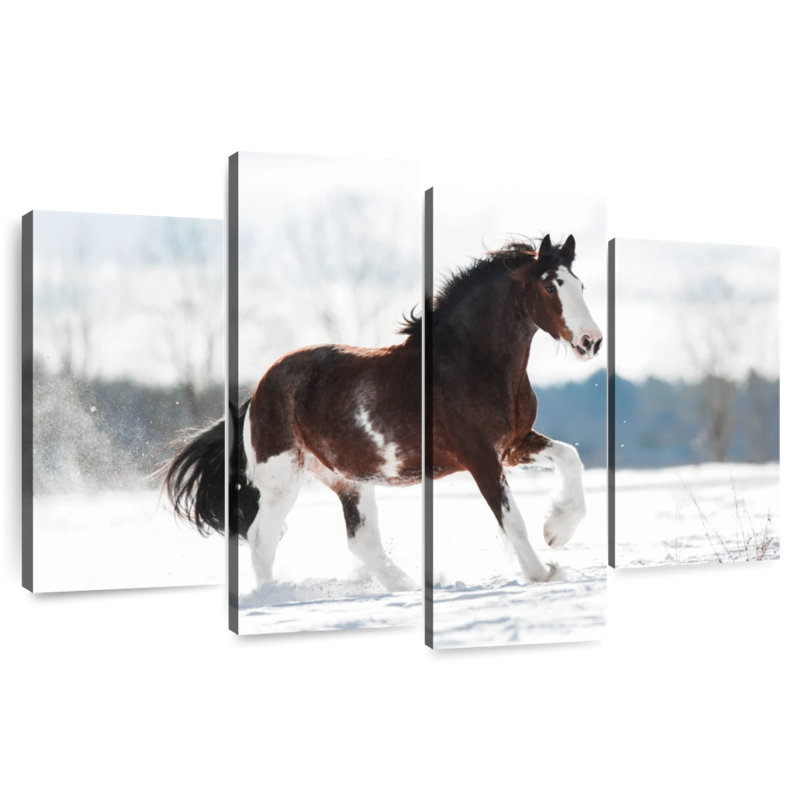 Brampt Clydesdale Horse In Winter