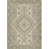Aldona Oriental Indoor Rug