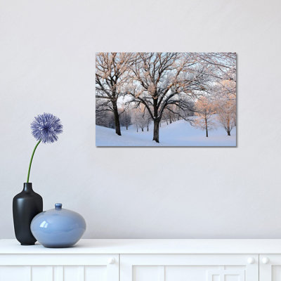 Morning Glow 1 Piece Wrapped Canvas Wall Art