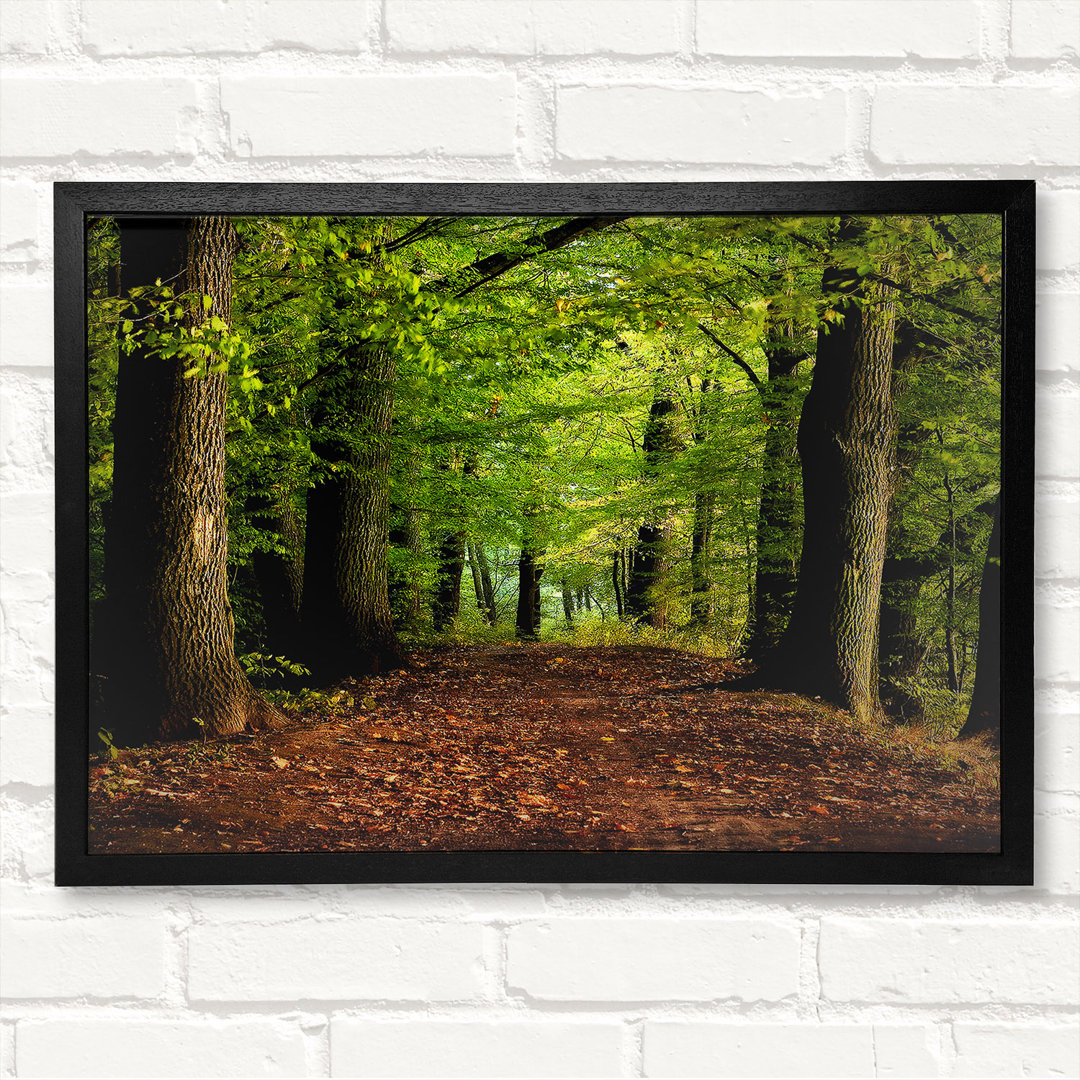 Woodland Path Walk - Closed Corner Frame Kunstdrucke auf Holz