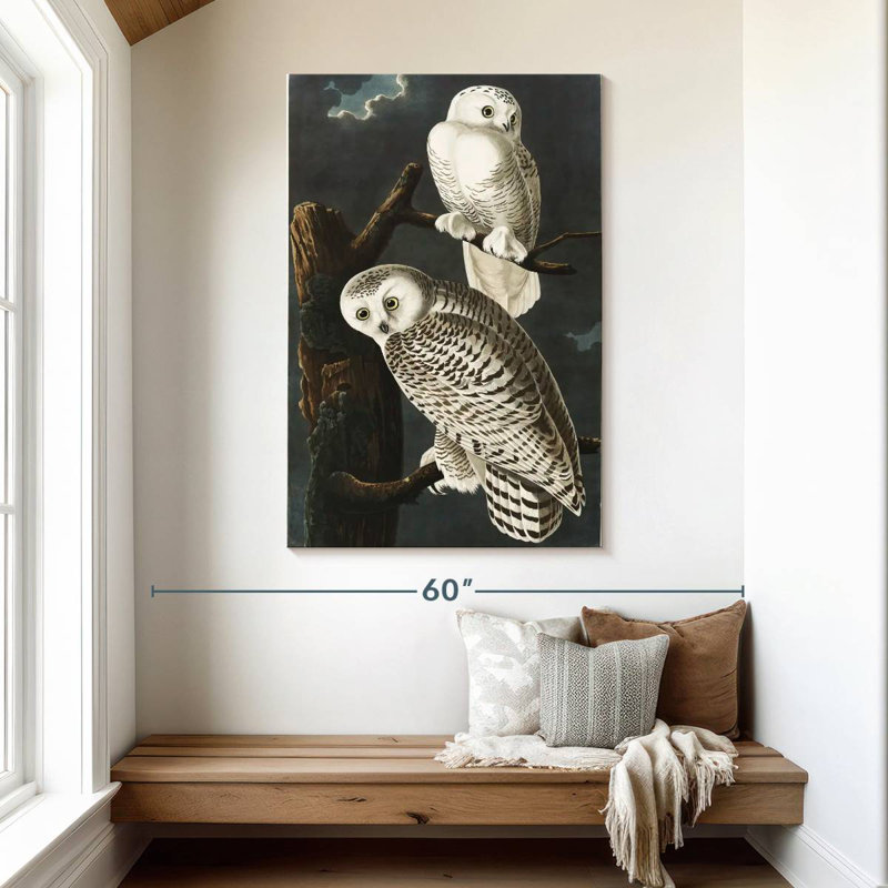 Brampt Snowy Owls, 48" H x 32" W