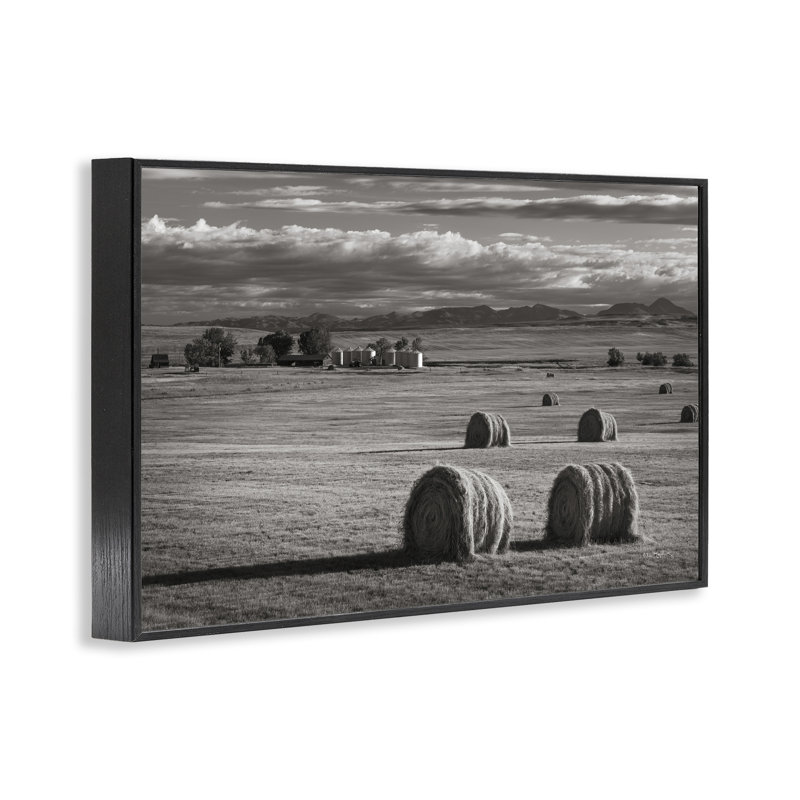 Giclées d'art Montana par Alan Majchrowicz, Montana, H 12 po x l 18 po, Giclée encadrée noir minuit