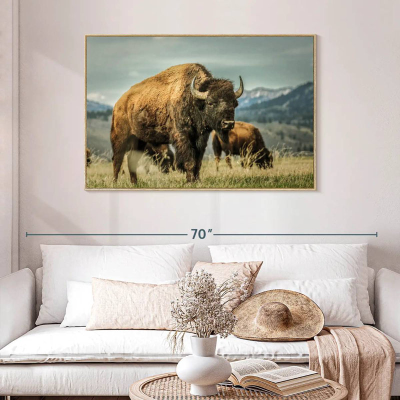 Bison du Wyoming, Cadre flottant en bois naturel, 46 po x 31 po