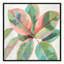 «Pink Ficus II», reproduction d'art-55543216-55543223