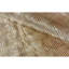 Area Rug in Orange-106955040