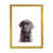 Gold Framed Paper is unavailable