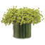 B.BREATH / GRASS (P)