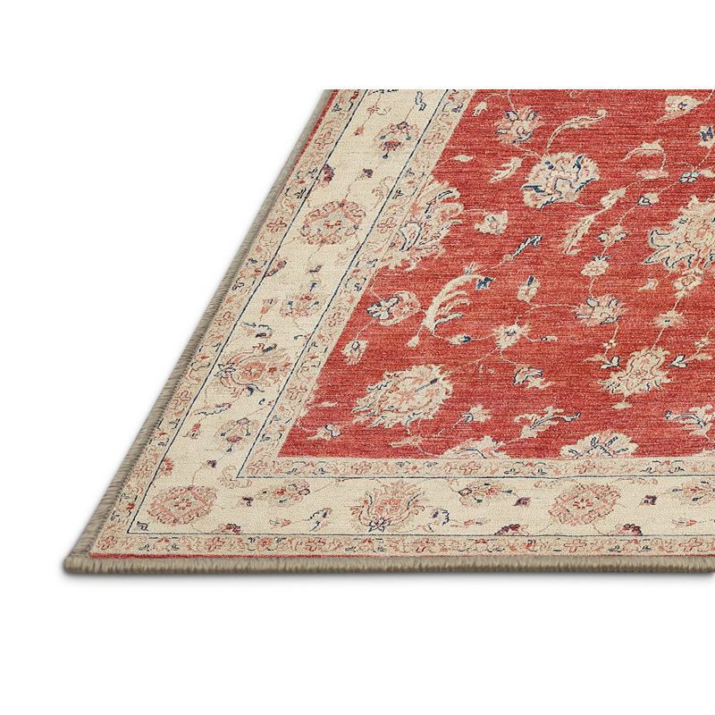 Cejda Oriental Indoor Rug, Rectangle 6' x 9'