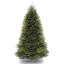 The Holiday Aisle® 10ft. Dunhill Fir Tree