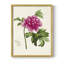 «Pretty Pink Botanicals I», reproduction encadrée - bois massif-1526581478-1526581497