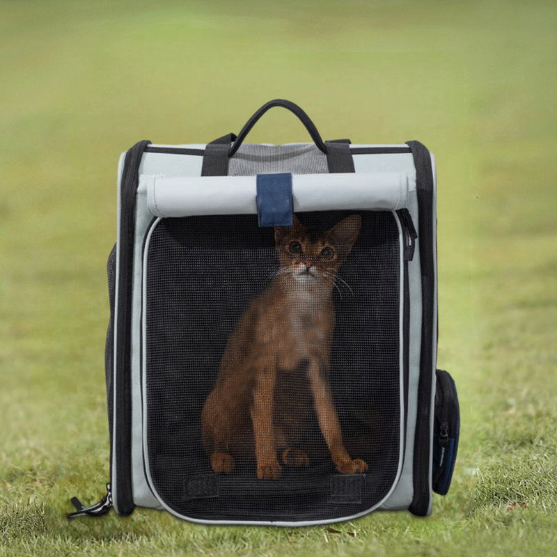 Cage pour chat Efthemia