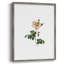 «Botanical Beauty II», reproduction encadrée - bois massif 50510-2045500729