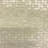 Embossed Velvet | Baxter Fabric_BAXTER