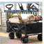 Campeurs pliants bleus-112611606-112611605