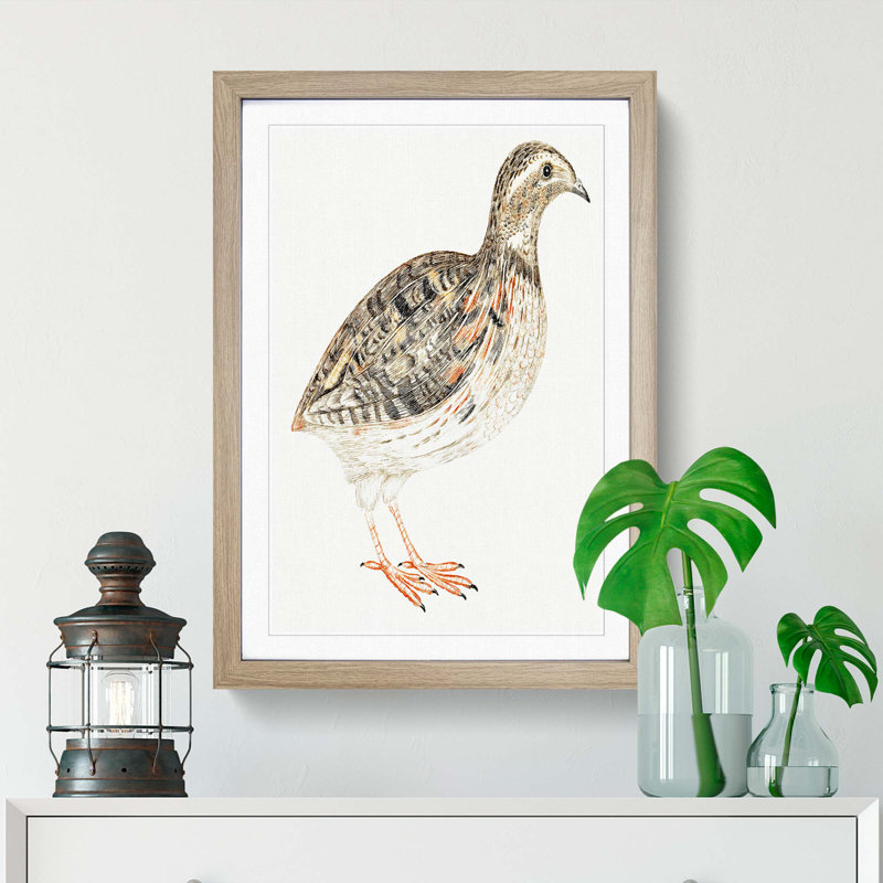 A Quail by Johan Teyler - Single Picture Frame Painting, Oak Framed, 33cm H x 24cm W x 2cm D