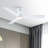 Kamy 52'' Ceiling Fan with LED Lights