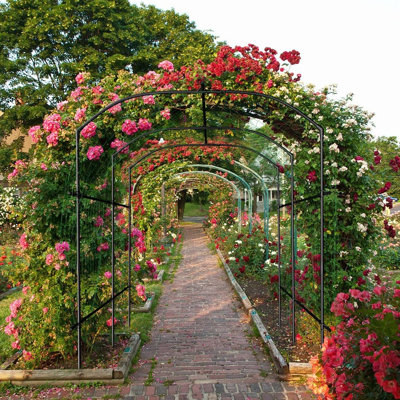 Garden Arch Trellis
