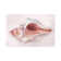 House of Hampton Conch Shell Blush II | Wayfair.co.uk