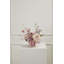 Compote rose Cortland