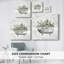 Soft Floral Tub II sur impression sur toile-1039152201
