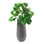 Outdoor Fiddle In Tall Grey Pot