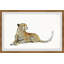 «Sitting Cheetah», reproduction encadrée-61576868