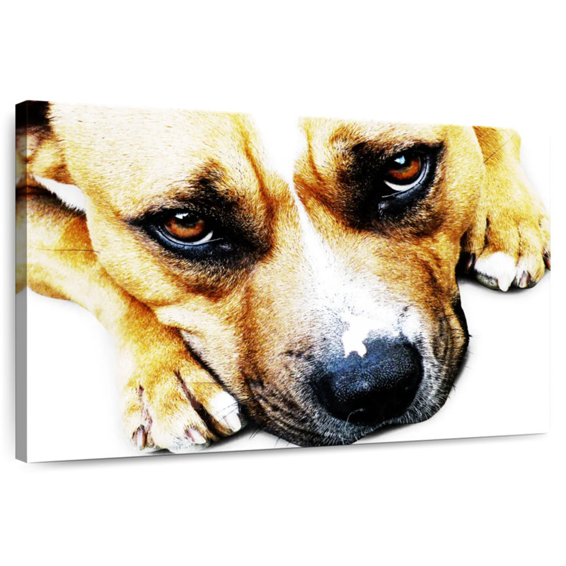 Bull Terrier Eyes, 26" H x 39" W