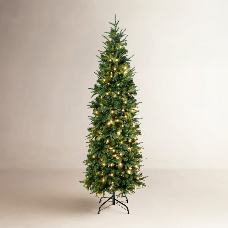 Sapin mince et illuminé, H 6 pi, Illuminée