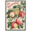 «La Pomme Kitchen Decor» par Art Remedy