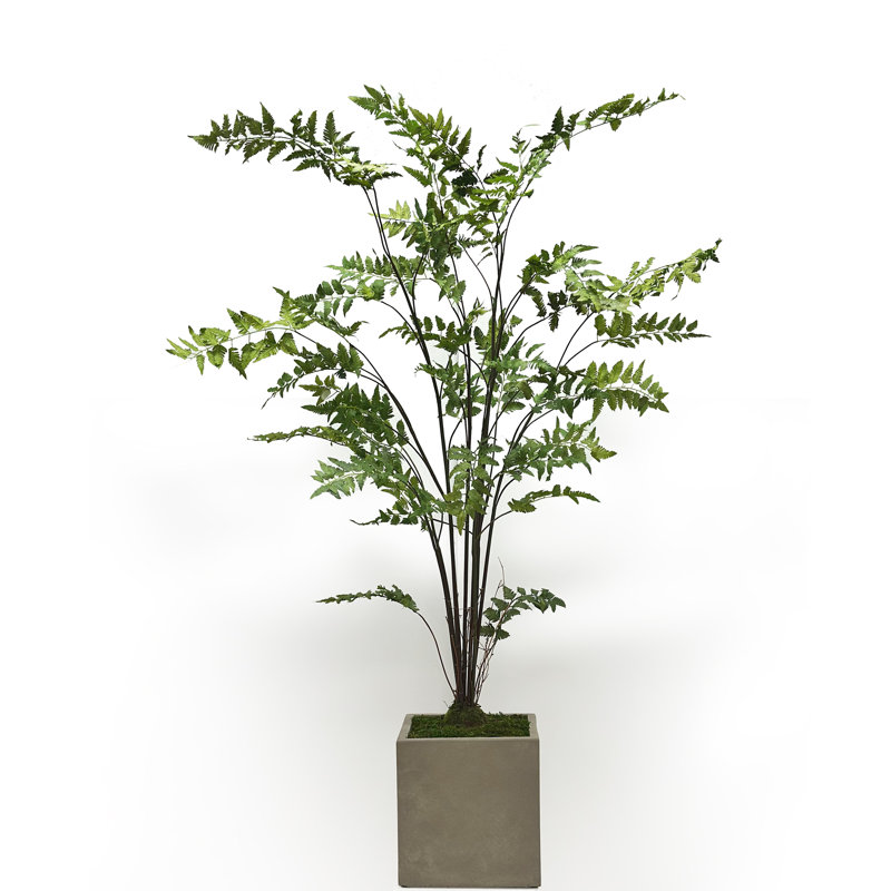 Faux Plant