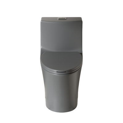Toilette à eau en teinte grise 002, 1 / 1,60, hauteur confort allongée fixée au sol avec siège à fermeture douce rajeunissante,