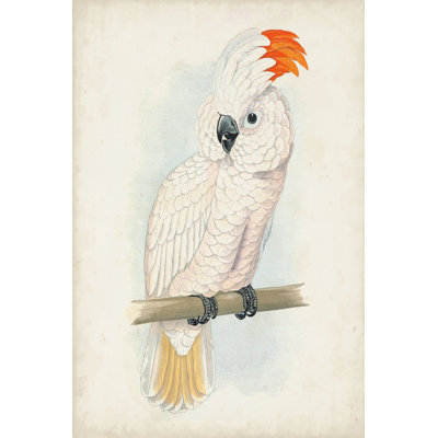 " Antique Cockatoo II "