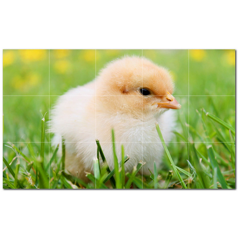 8 x 8