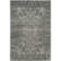Patrick Performance Oriental Rug