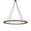 24 - Light Chandelier