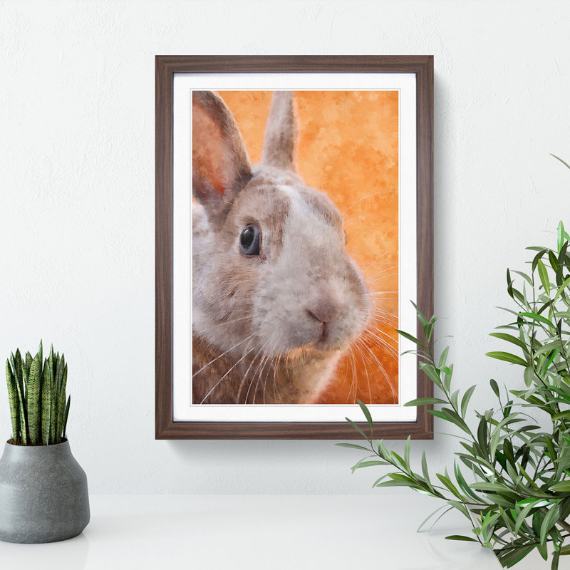 Bunny Rabbit in Colour - Picture Frame Graphic Art, 48cm H x 36cm W x 2cm D, Walnut Framed