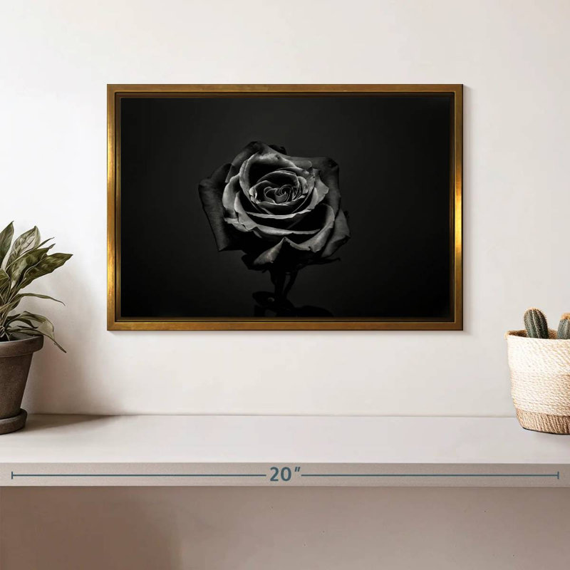 Rose noire, Cadre flottant doré, 13 po x 9 po