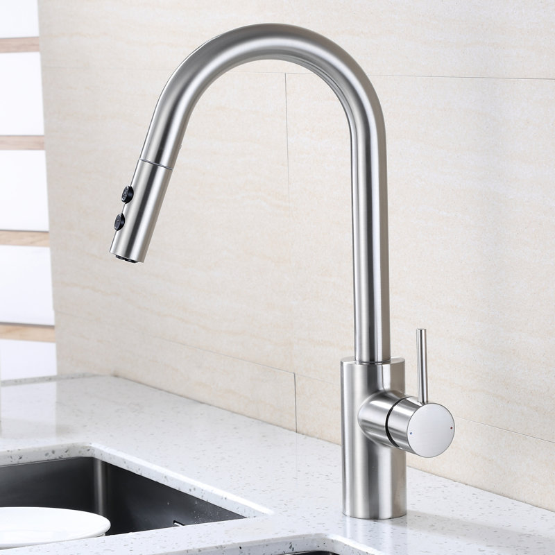 Robinet de cuisine contemporain à poignée simple avec accessoires, Nickel brossé