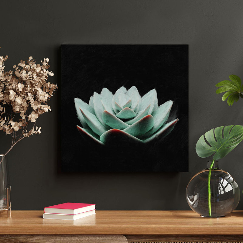 «A Succulent Plant Under Light», reproduction d'art graphique sur toile tendue 1 pièce, H 12 po x l 12 po x P 2 po