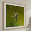 Single Picture Frame Print-246606703
