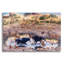  Art mural en verre acrylique 24 "x 16"-1850571927
