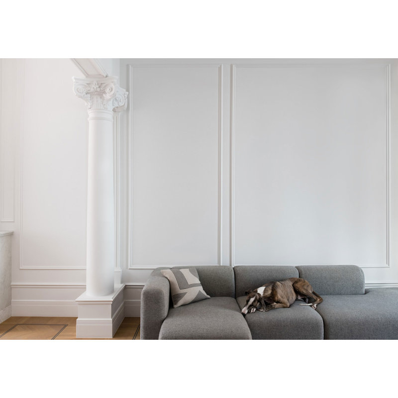 1.56'' H x 78.75'' W x 0.56'' D Plastic Chair Rail
