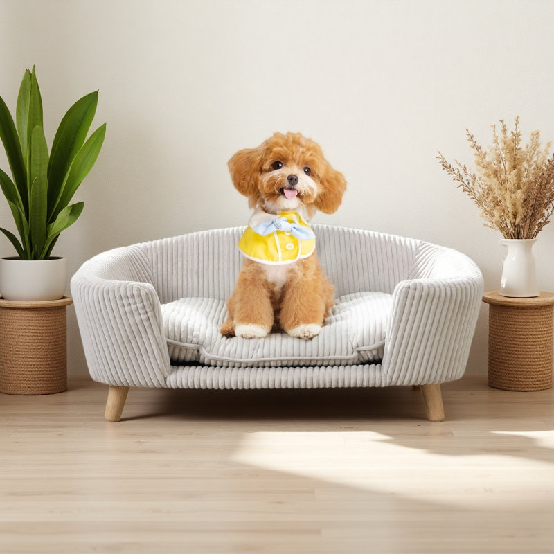 Cadre de lit pour chien surélevé pour petit chien, lit en velours côtelé avec pieds en bois d'hévéa et mousse de soutien